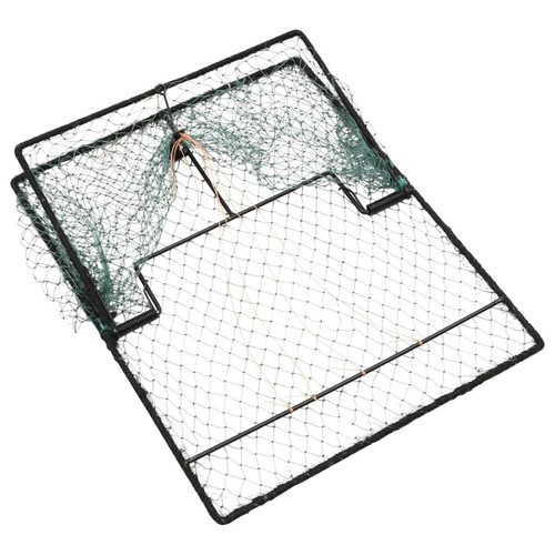 Bird trap humane live hunting - bird,