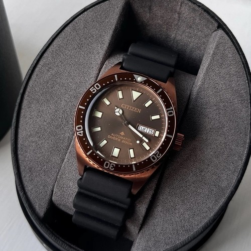 Citizen men promaster - citizen,