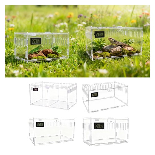 Acrylic spider enclosure - acrylic,