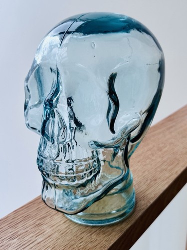 Recycled glass skull display - recycled,