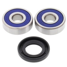 ALL BALLS WHEEL BEARING KIT