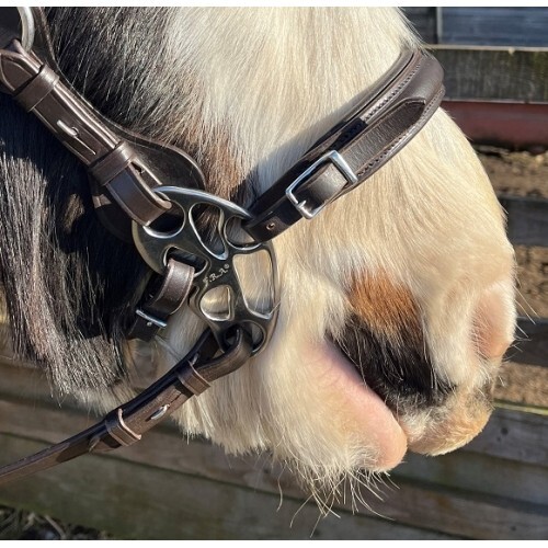 Calli butterfly hackamore - calli,