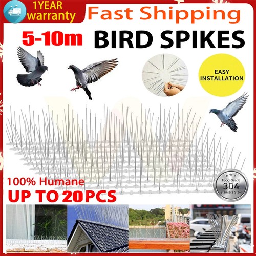 10m pigeon bird - 10m, metal