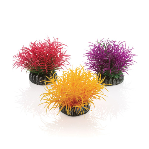 Oase living water - living, biorb