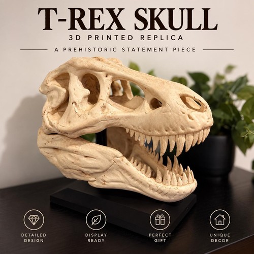 Rex skull replica - t-rex,