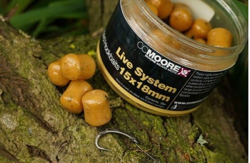 Moore live system glugged - system,