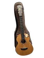 washburn G-SERIES MINI