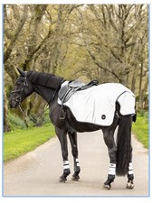 Le Mieux Reflective Exercise Sheet