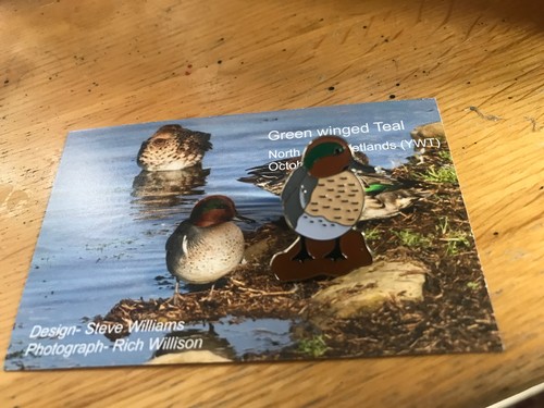 Green winged teal enamel - ,
