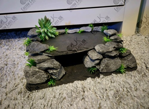 Leopard gecko slate - gecko,