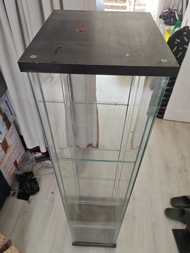 Tall glass display - display, cabinet