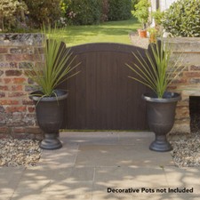 Pair of Cordyline Green Palms