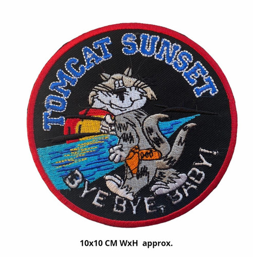 Tomcat sunset navy military - navy,