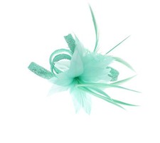 Zac's Alter Ego® Colourful Fascinator with Feather on Clip & Brooch Pin