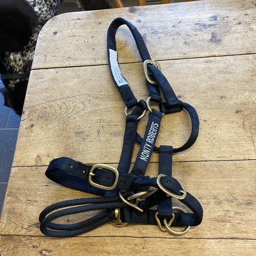 Monty roberts dually - monty,