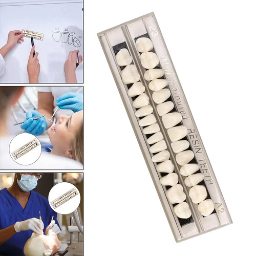 Dental denture resin - dental, false