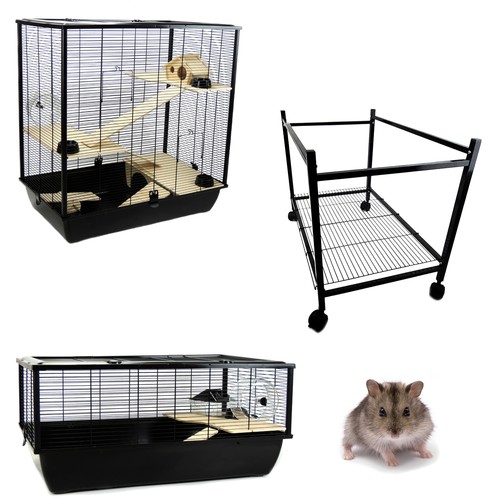 Rat syrian hamster cages - rat,