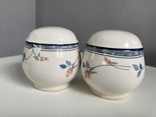 Vintage Arklow Pottery Keltcraft salt & pepper set East Fair Design by Noritake