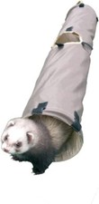 Rosewood Ferret & Guinea Pig