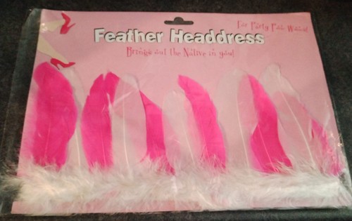 Feather head dress - feather,