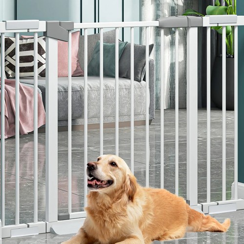 Home baby safety - home,