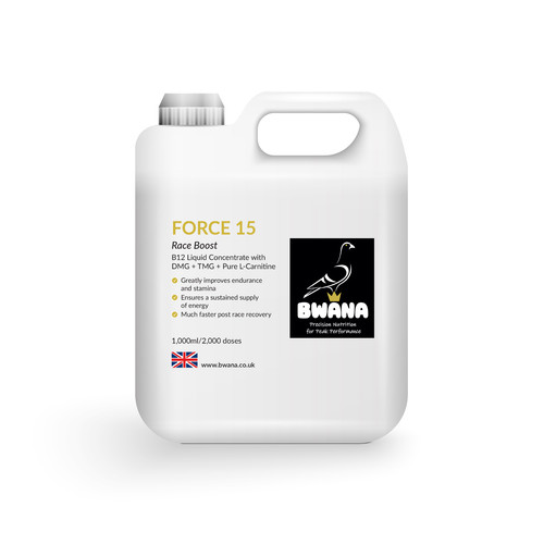 Bwana force racing pigeon - bwana,
