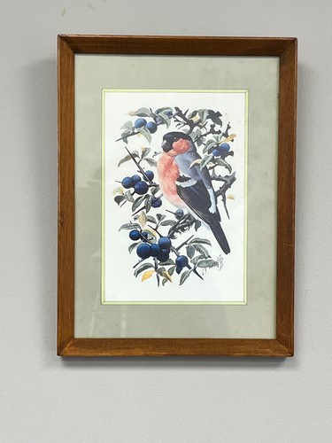 Vintage 1977 framed f - vintage,