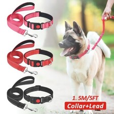 3 Size Padded Dog Collar and