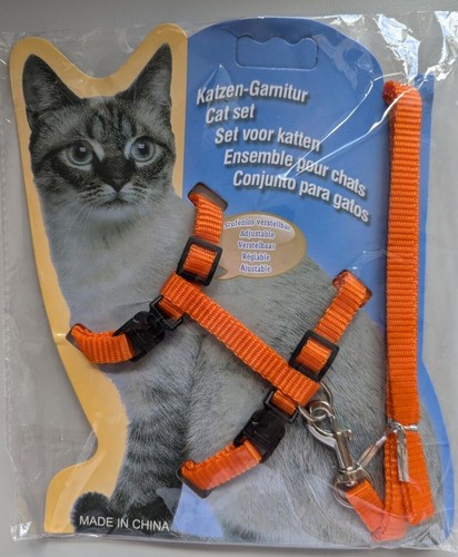 Cats ferrets pets - ferrets,