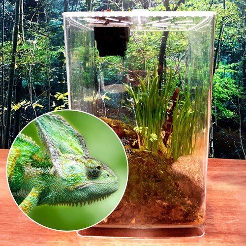 Large acrylic reptile - large,