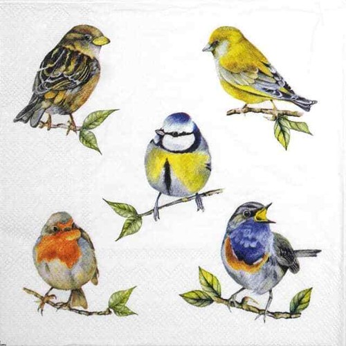 Single lunch paper napkins - lunch,