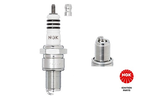 6664 ngk spark plug for - ngk, alfa