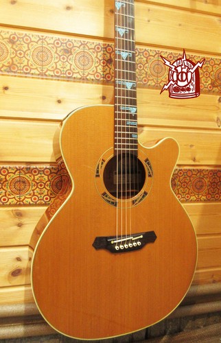 Takamine acoustic electric - takamine, acoustic-electric