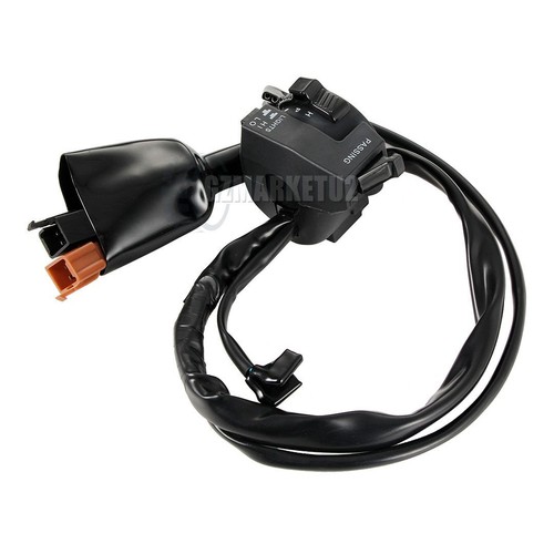 Turn signal light - light, beam