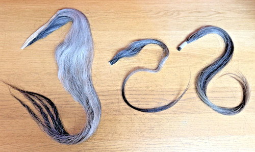 Rocking horse hair - horse, for