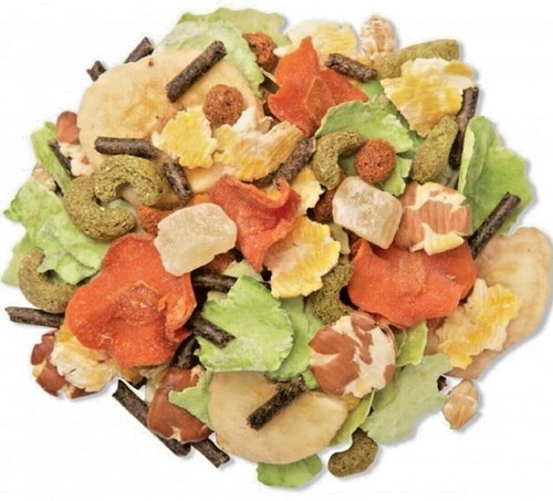 Supreme tropical fruit rabbit - tropical,