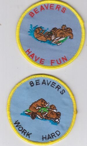 Boy scout badges beavers - boy,