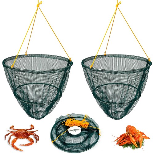 Crab fish crayfish lobster - x,