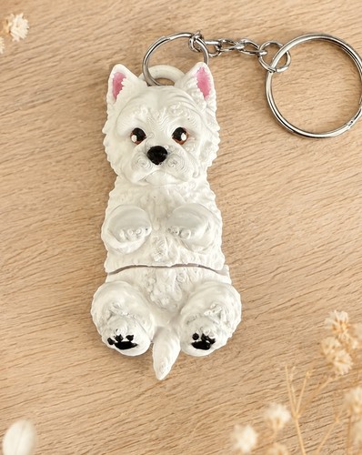 West highland terrier - terrier, (westie)