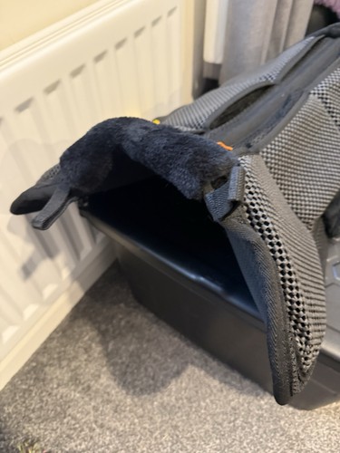 Cameo horse saddle seat saver - seat,