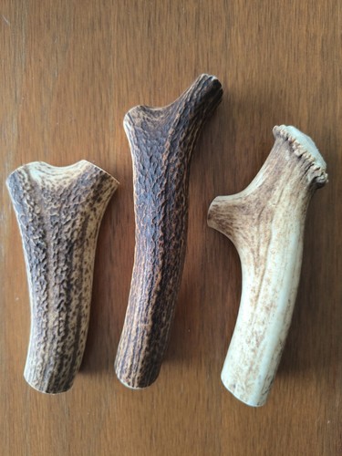 Large deer antler chunks - large,