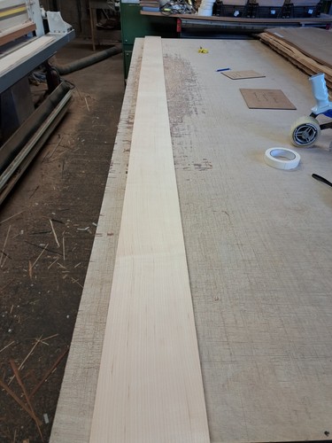 Maple veneer natural - -, wood