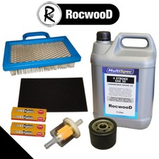 Service Kit Fits Briggs &