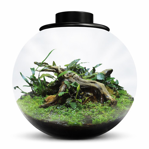 Bioart drop 285 - bioart,