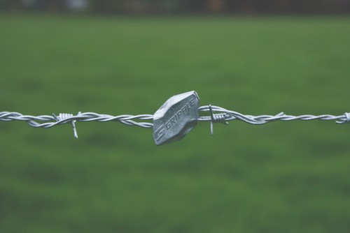 Gripple mild steel barbed - mild, wire