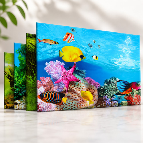 Double sided aquarium - double,