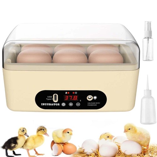 Egg incubator automatic - egg,