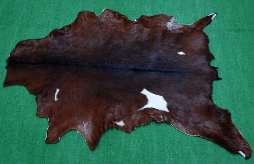 Luxury goat hide - goat, hair