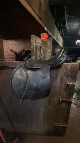 Monarch saddle comes - saddle,,