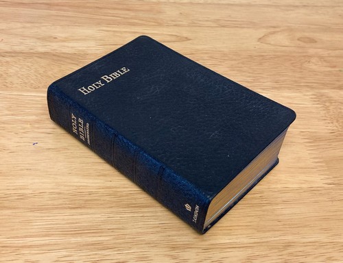 Vintage illustrated holy - holy, bible